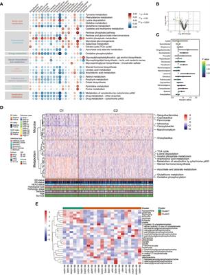 Frontiers Integrating Bulk And Single Cell RNA Sequencing Data